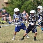 2015 Springford Lacrosse 204 2015 Springford Lacrosse 204