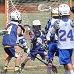 2015 Springford Lacrosse 272 2015 Springford Lacrosse 272